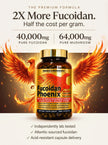 Fucoidan Phoenix™ — Premium Fucoidan + Tri-Shield Mushroom Complex (160 Acid-Resistant Capsules)