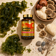 Fucoidan Phoenix™ — Premium Fucoidan + Tri-Shield Mushroom Complex (160 Acid-Resistant Capsules)