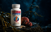 Fucoidan Force with North Atlantic kelp, organic Reishi and a vegan capsule