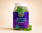 Organic ULTRA-R7 Sea Moss Gummies bottle on a warm ivory studio background