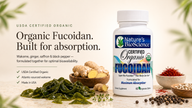 Organic Fucoidan — Super Bio-Fucoidan™ Absorption Blend with Wakame & Vitamin E (60 Tablets)