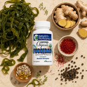 Organic Fucoidan — Super Bio-Fucoidan™ Absorption Blend with Wakame & Vitamin E (60 Tablets)